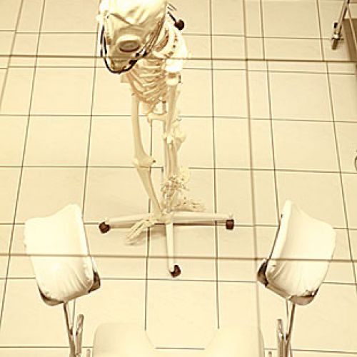 Klinik - Foto 12 von 18